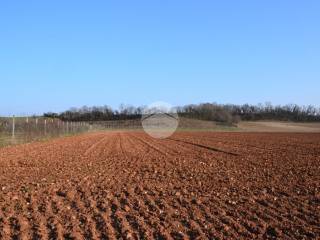 Terreno residenziale in vendita a volta mantovana località montaldo
