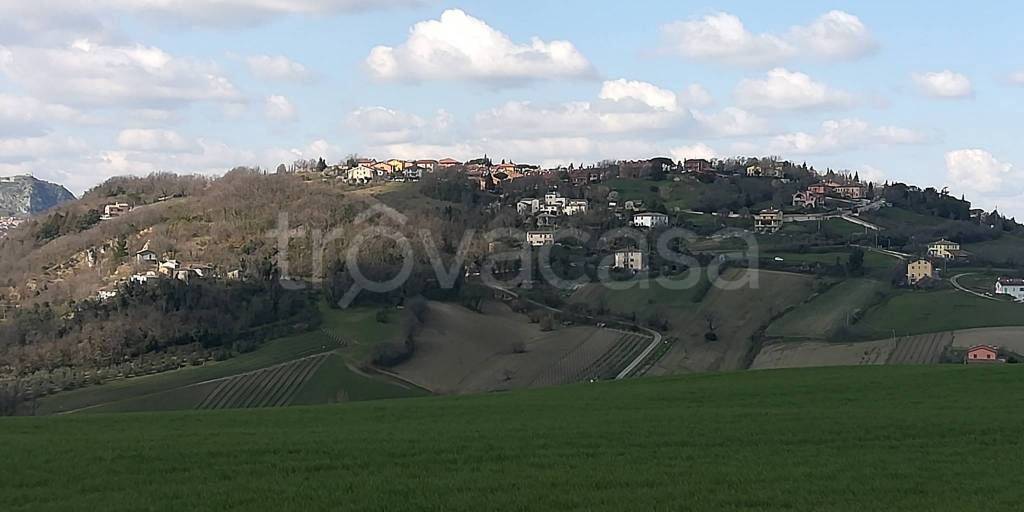 immagine annuncio 11 di 14