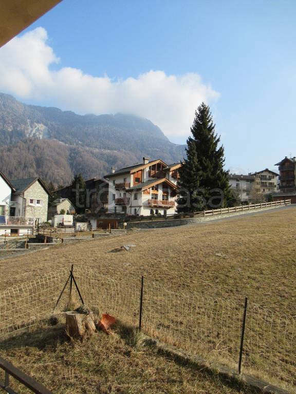 immagine annuncio 12 di 13