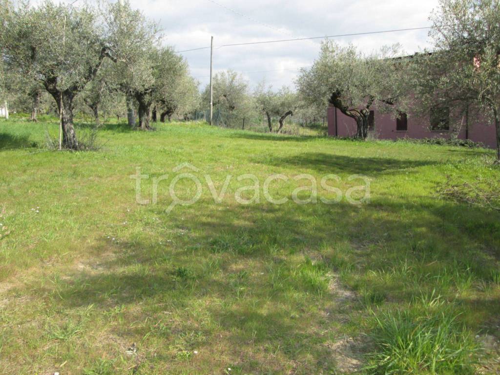 immagine annuncio 3 di 4