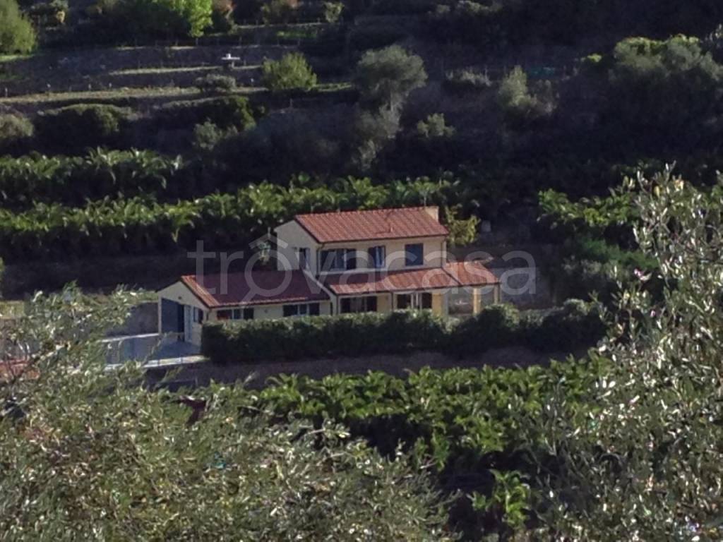 Villa in vendita a Castellaro strada Provinciale 50, 6
