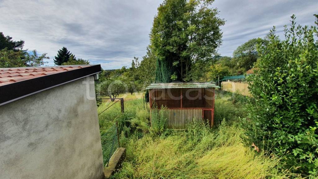 immagine annuncio 4 di 8