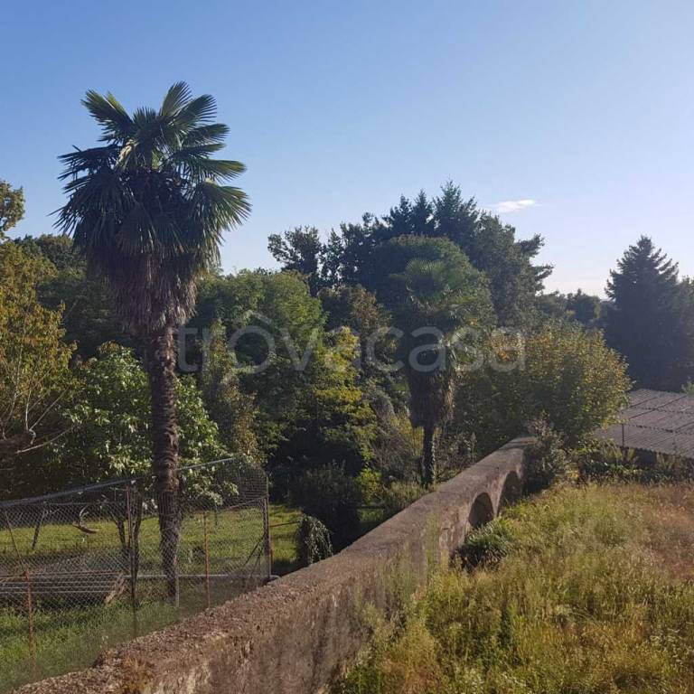 immagine annuncio 5 di 8