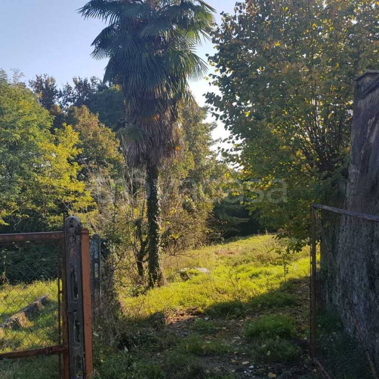 immagine annuncio 6 di 8