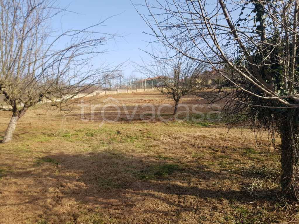 immagine annuncio 7 di 8