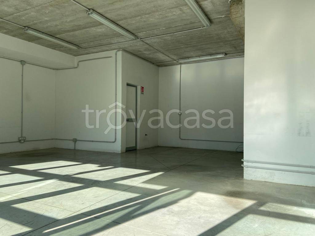 immagine annuncio 6 di 9