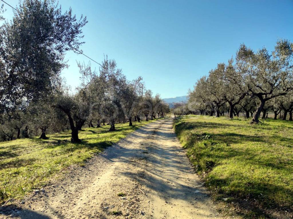 immagine annuncio 3 di 9