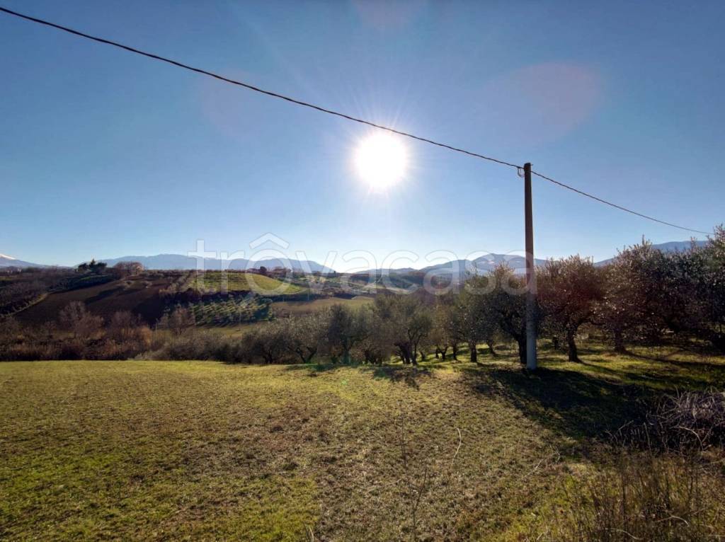 immagine annuncio 2 di 9