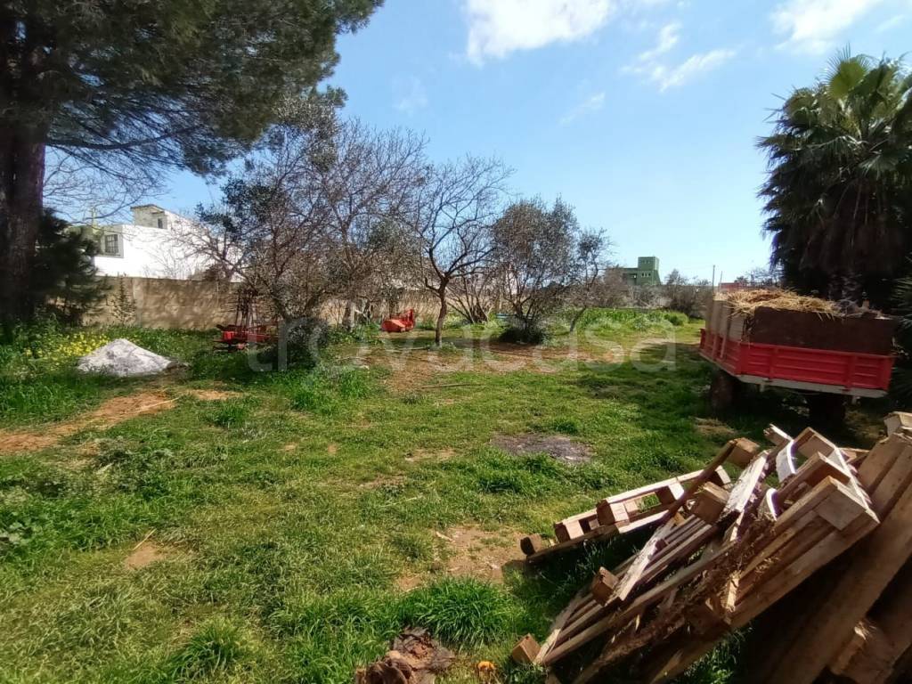 immagine annuncio 6 di 11