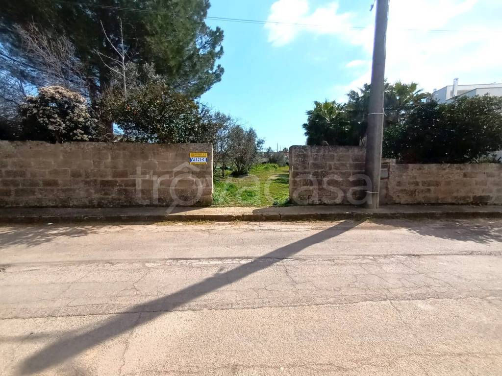 immagine annuncio 10 di 11