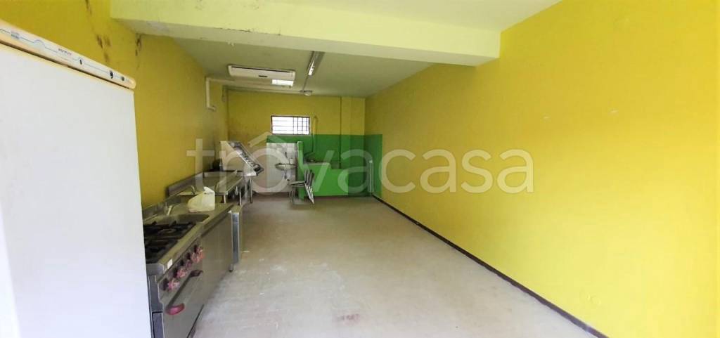 immagine annuncio 5 di 11