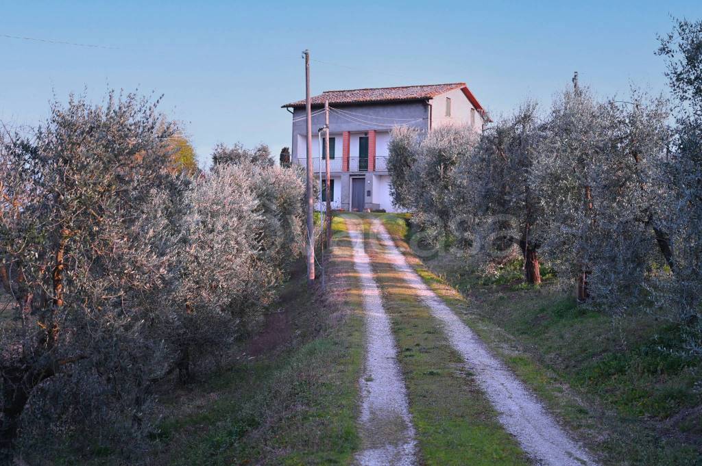 Villa in vendita a Civitella d'Agliano località Spoletino