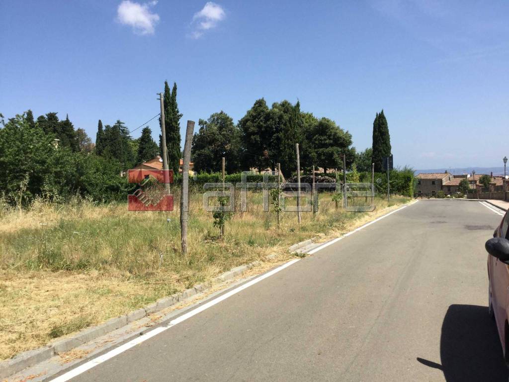 immagine annuncio 4 di 8