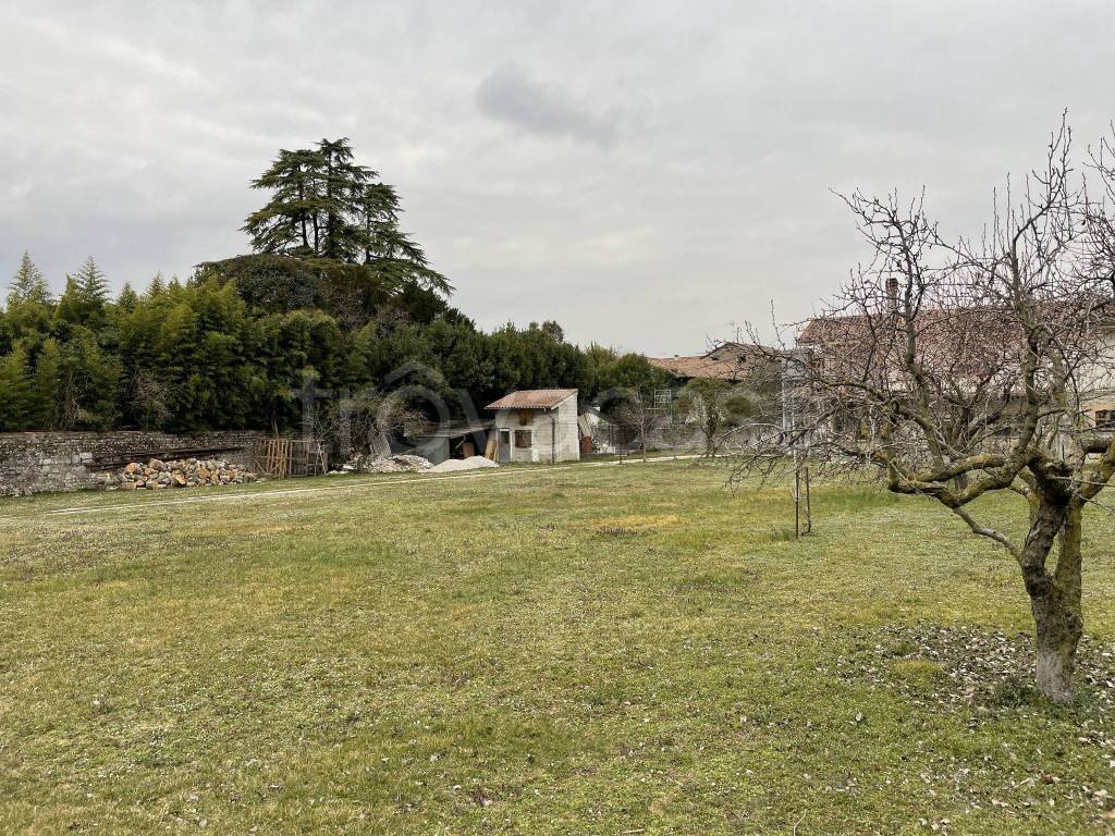 immagine annuncio 5 di 6
