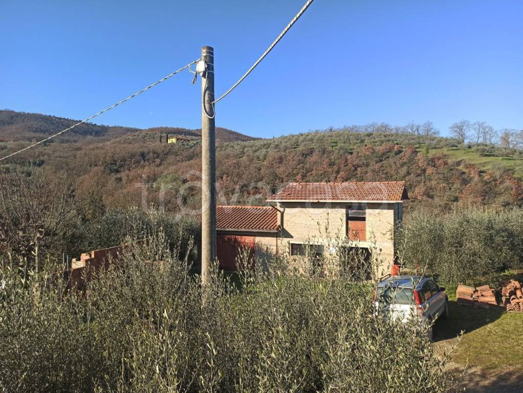 immagine annuncio 1 di 6