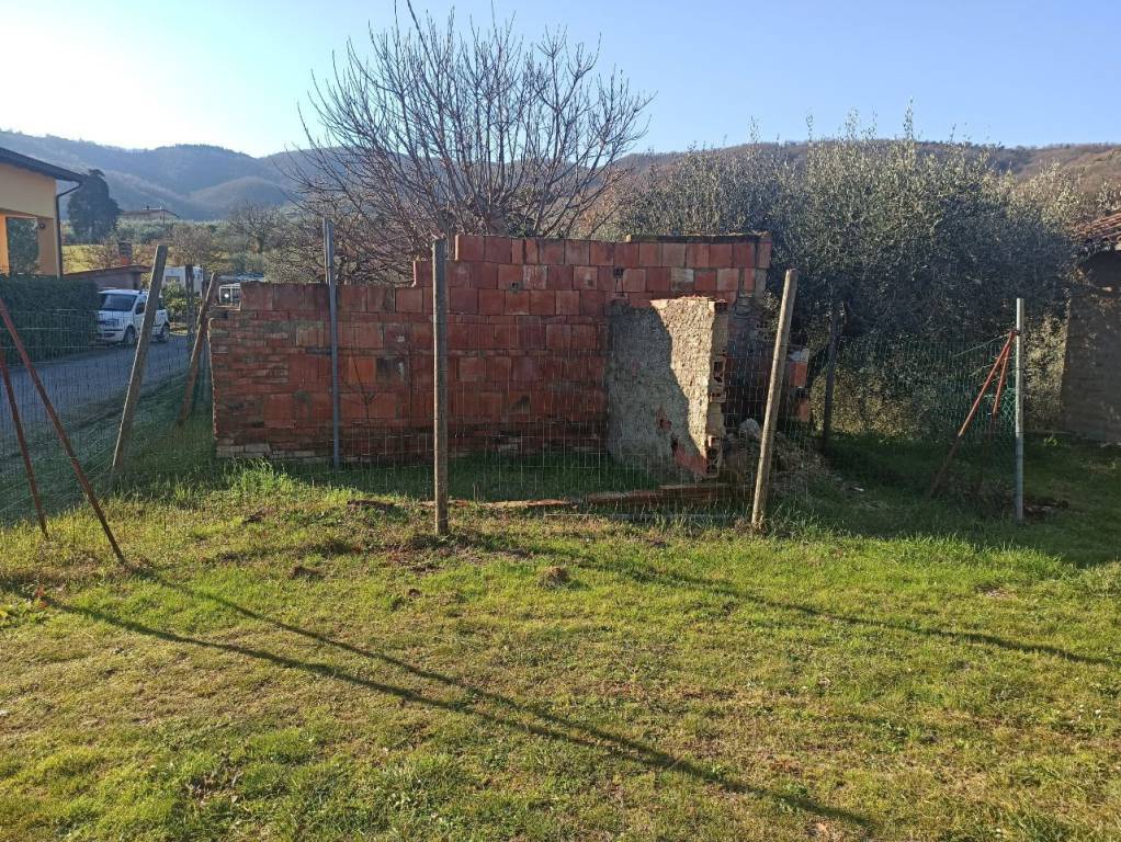immagine annuncio 2 di 6