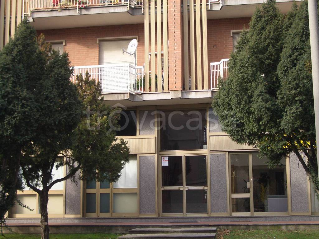 immagine annuncio 1 di 15