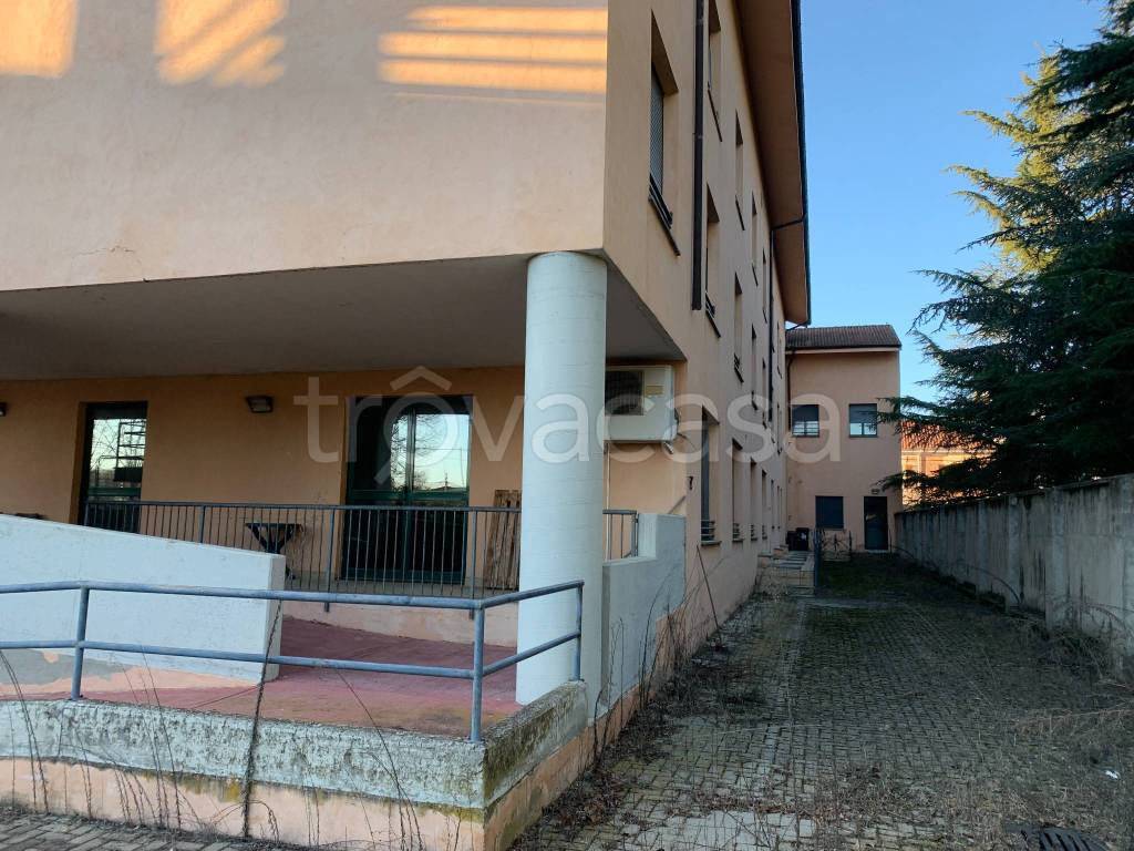 immagine annuncio 10 di 11