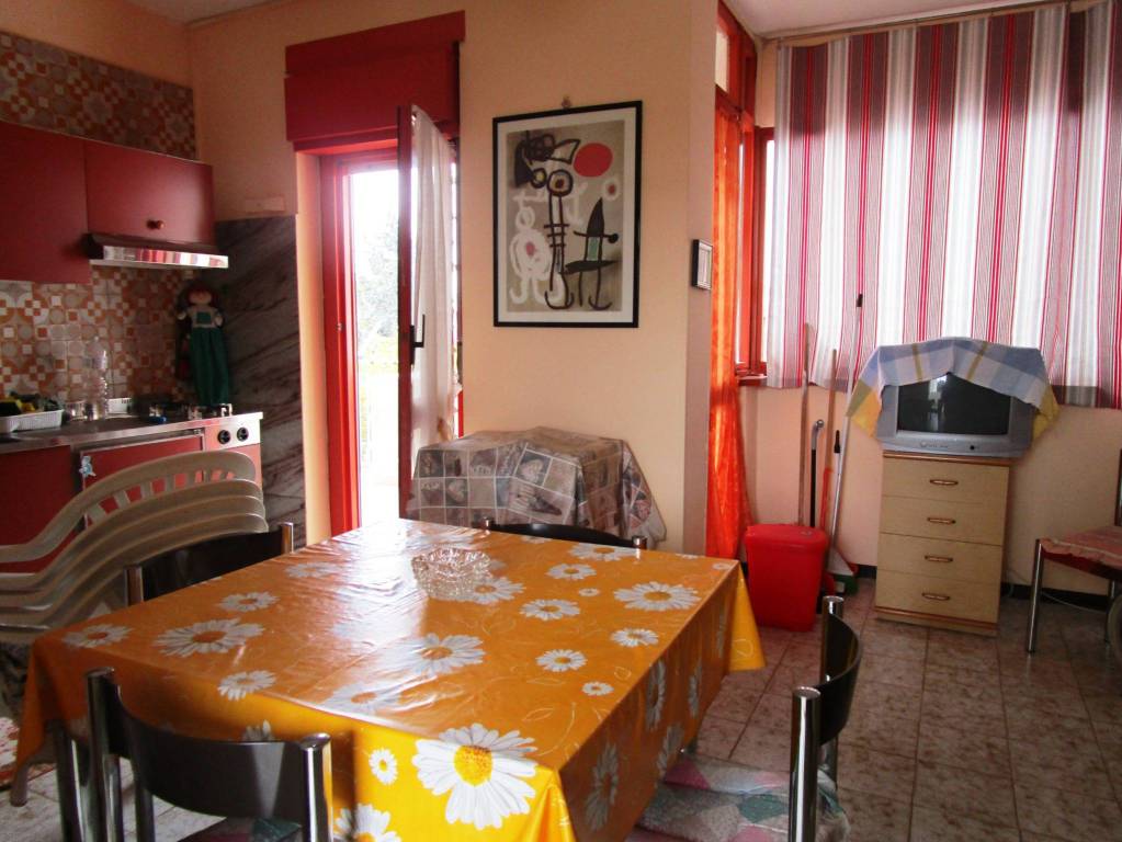 immagine annuncio 1 di 14