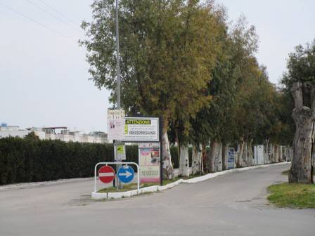immagine annuncio 13 di 14