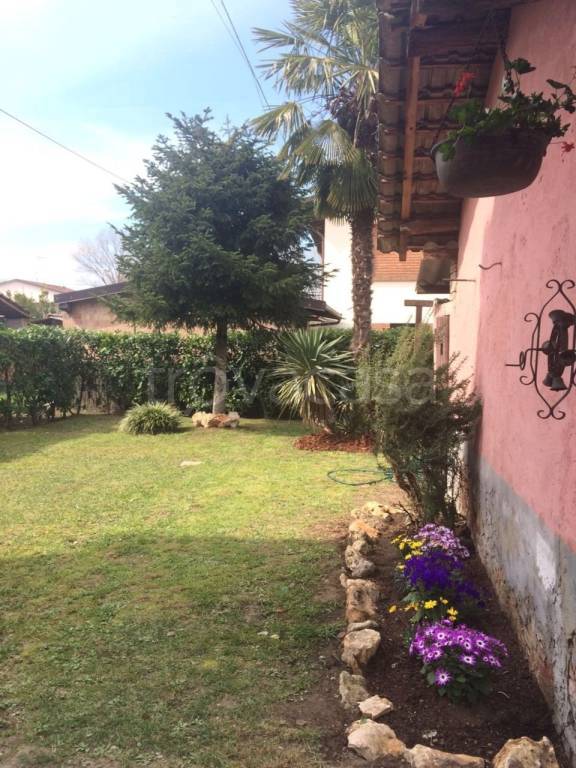 Villa Bifamiliare in in vendita da privato a Bressana Bottarone via Dante Alighieri, 42