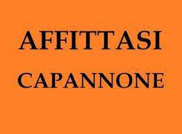 Capannone Industriale in affitto a Campegine