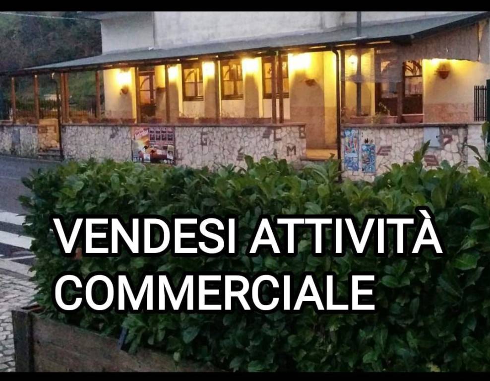 Pizzeria in in vendita da privato a Segni via Pianillo, 13/15