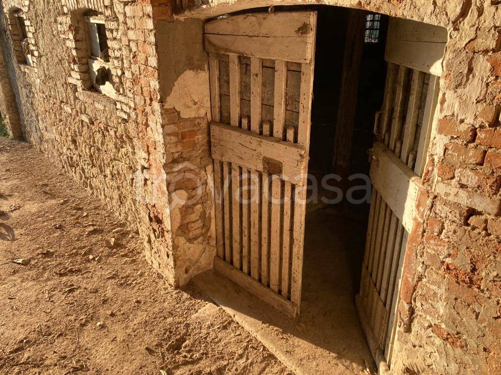 immagine annuncio 11 di 13