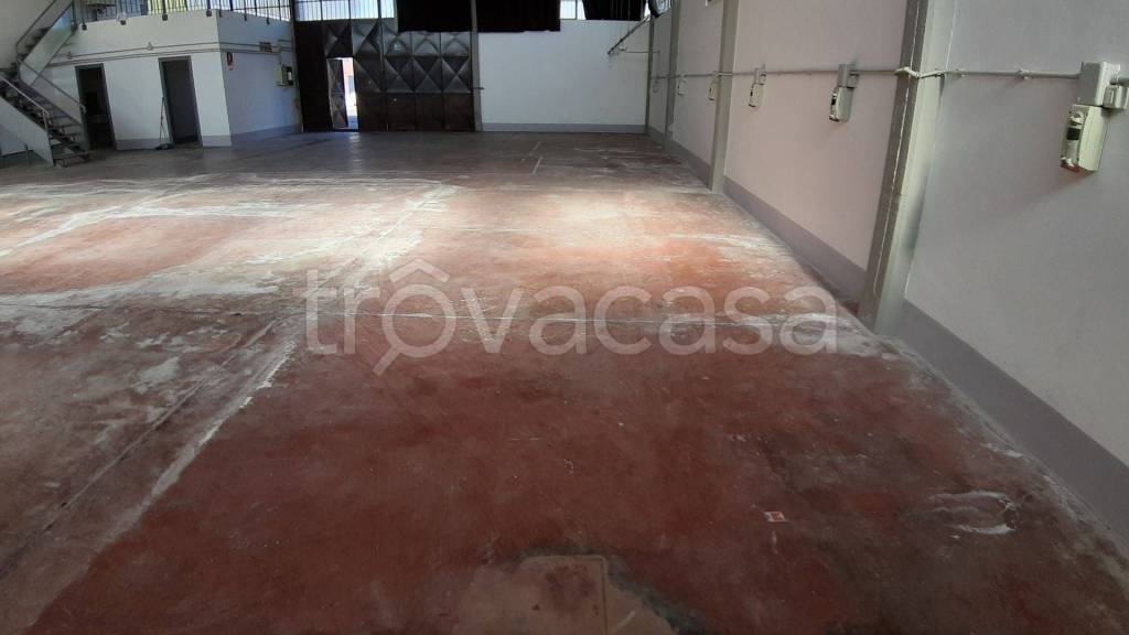 immagine annuncio 1 di 12