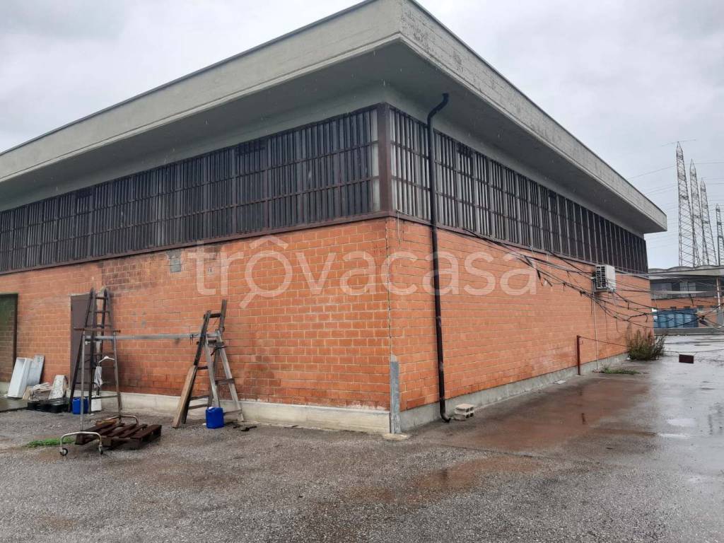 immagine annuncio 3 di 12