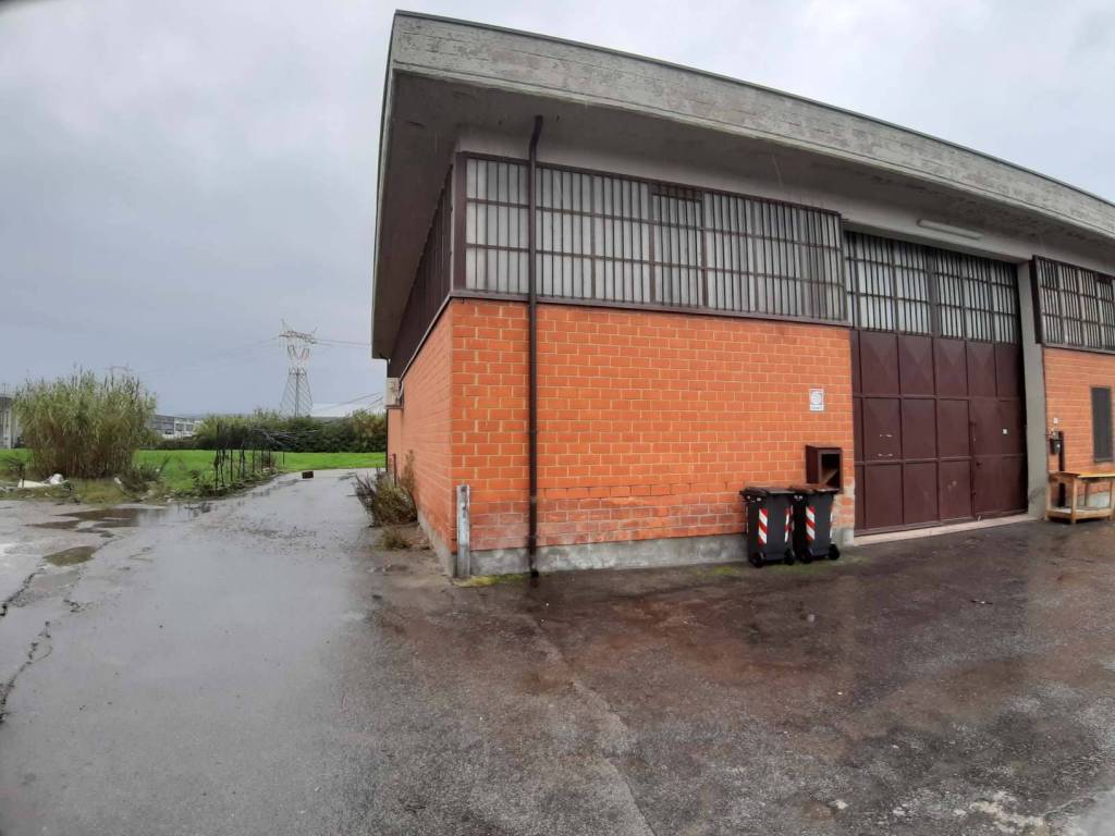 immagine annuncio 4 di 12