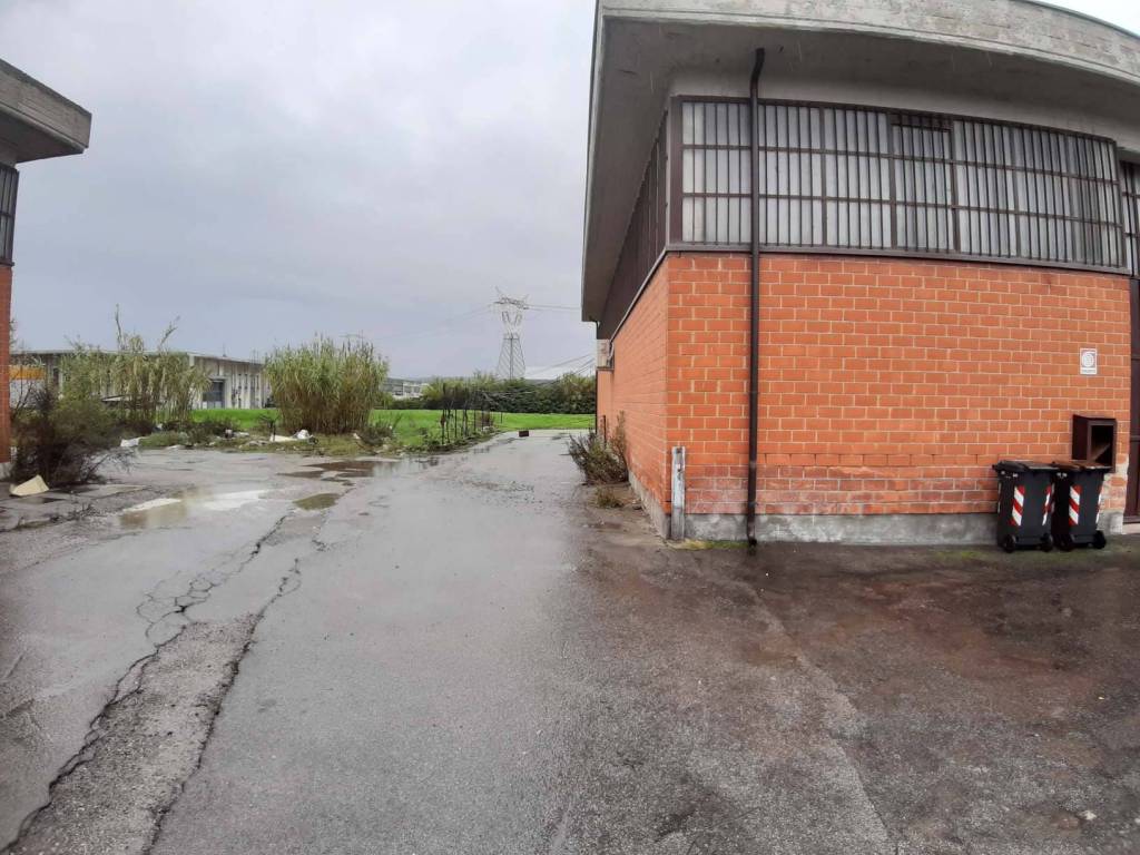 immagine annuncio 5 di 12