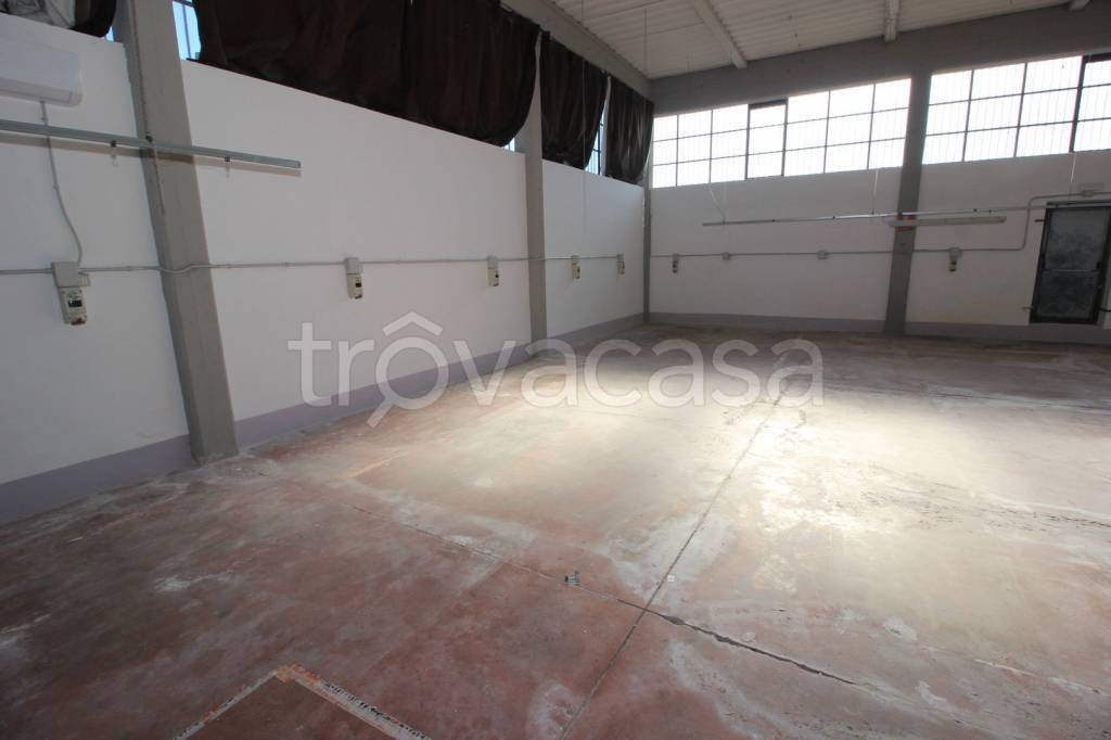 immagine annuncio 6 di 12