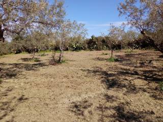 Terreno agricolo in vendita a pace del mela contrada pantano