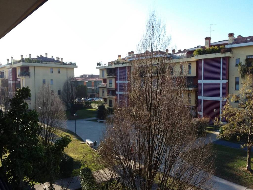 immagine annuncio 11 di 12