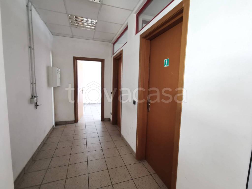 immagine annuncio 9 di 14