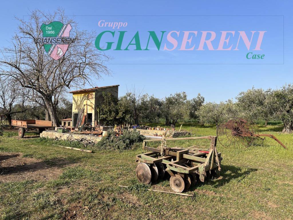 immagine annuncio 4 di 15
