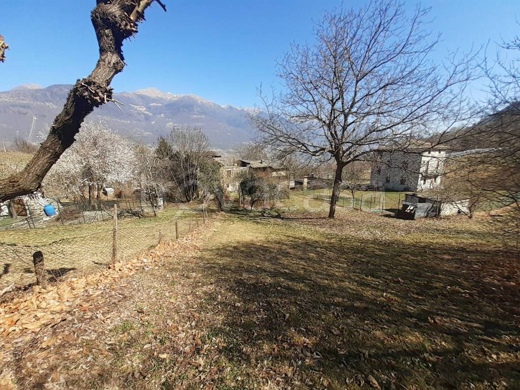 immagine annuncio 2 di 6