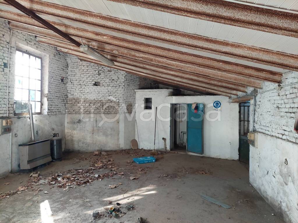 immagine annuncio 6 di 15