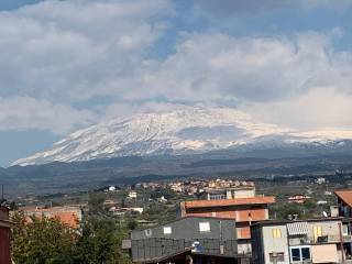 Intero stabile in in vendita da privato ad adrano via vittorio emanuele, 208