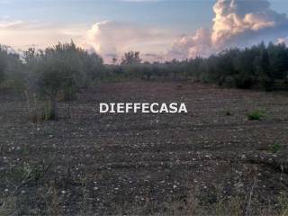 Terreno agricolo in vendita a marsala contrada casazze