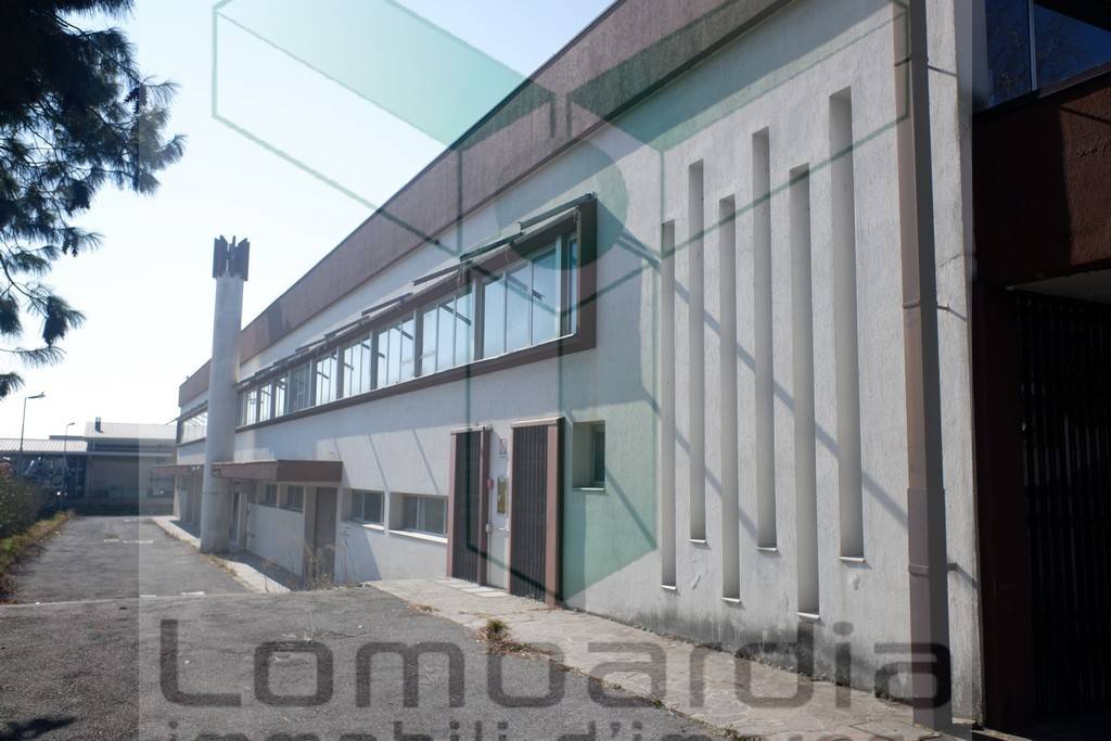 immagine annuncio 1 di 10