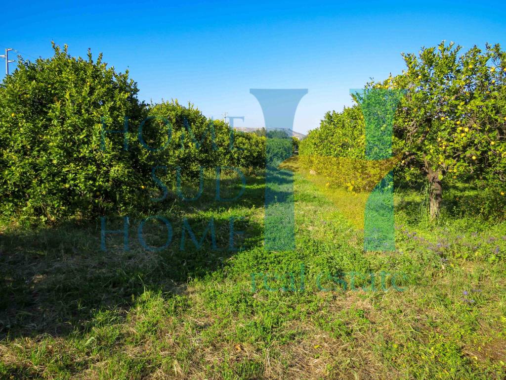 Terreno Agricolo in vendita a Noto via Tommaso Fazello, 228