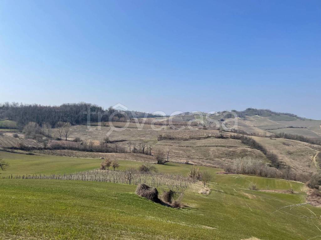 Terreno Agricolo in vendita a Montemarzino