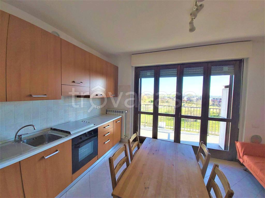 immagine annuncio 6 di 15