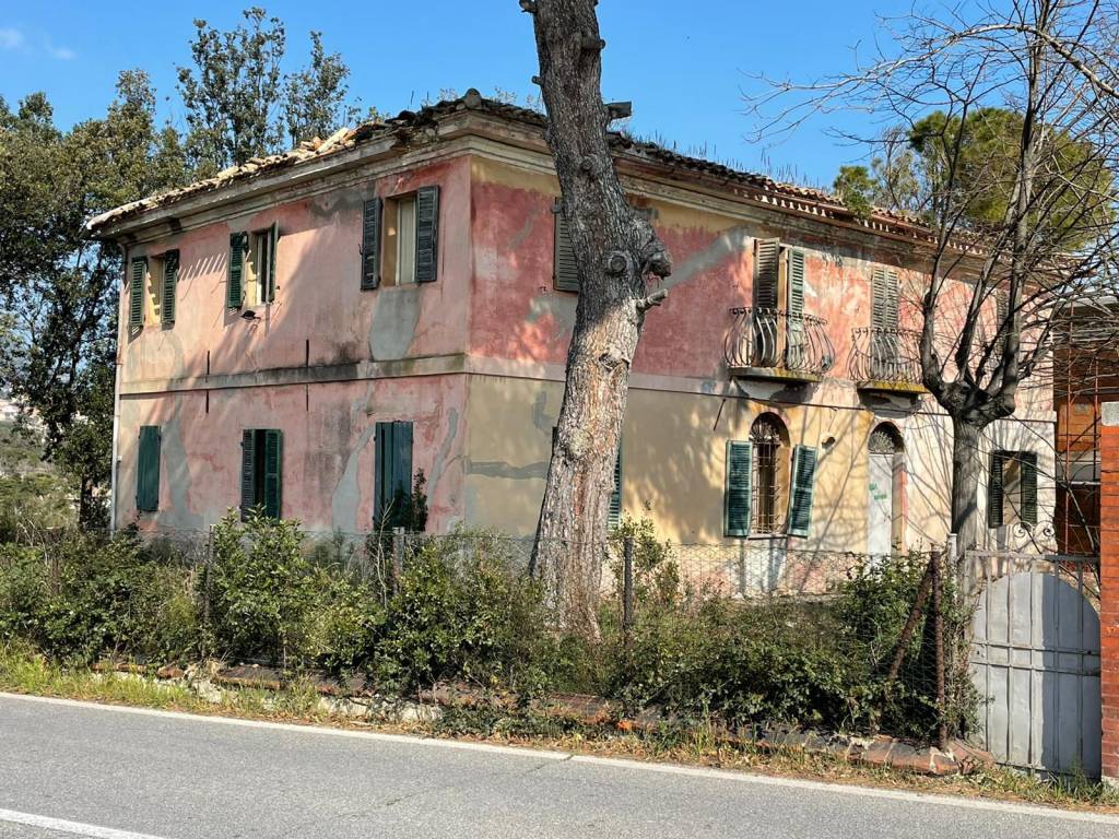 immagine annuncio 1 di 12