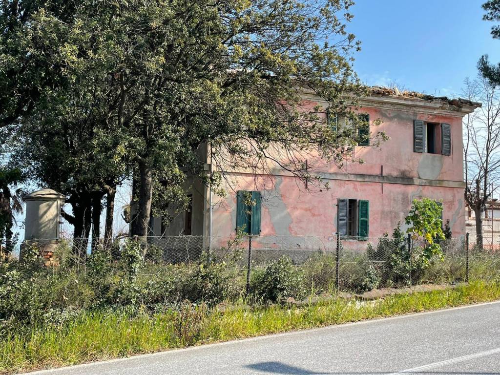 immagine annuncio 3 di 12