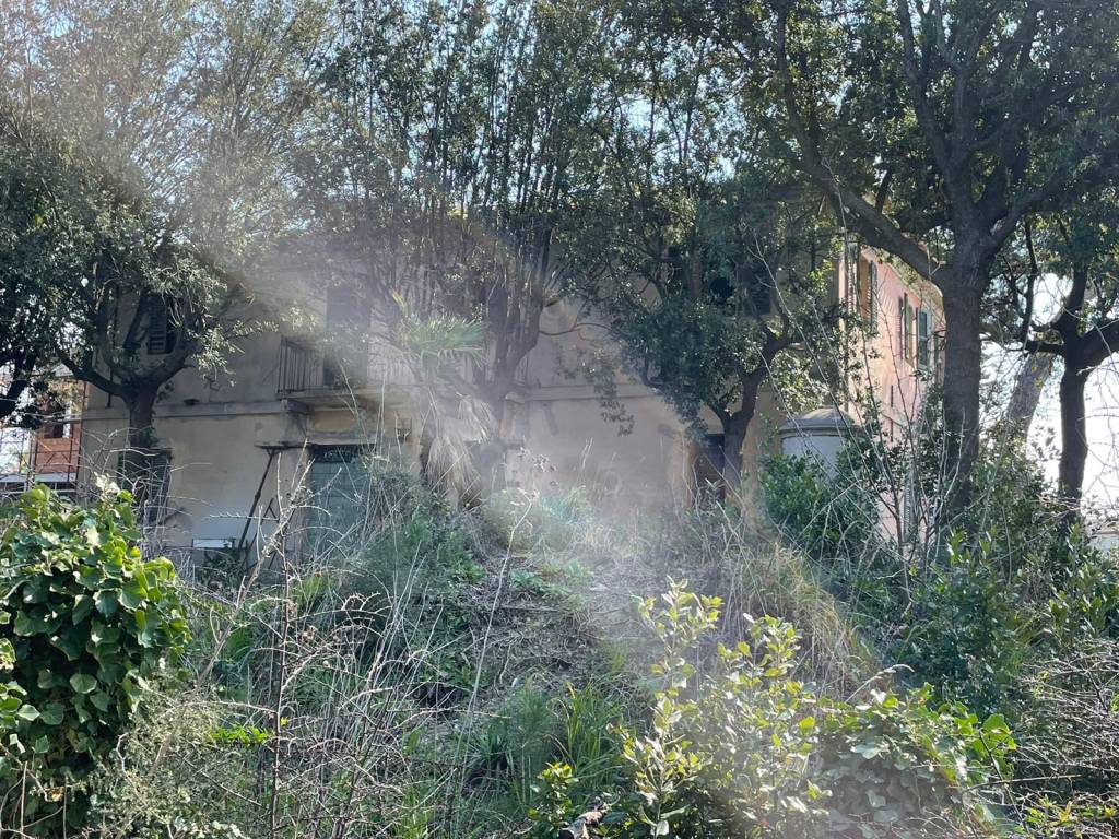 immagine annuncio 4 di 12