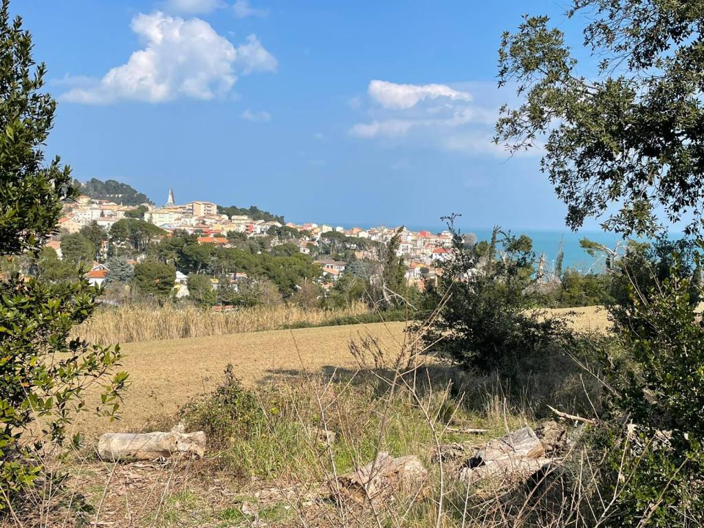 immagine annuncio 5 di 12