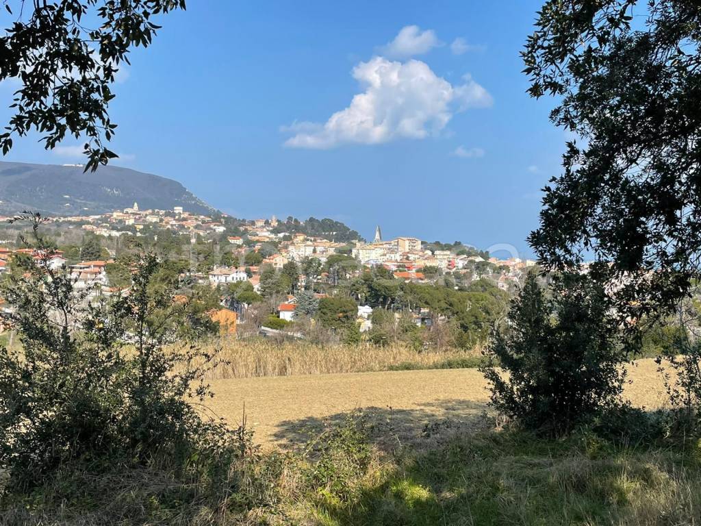 immagine annuncio 6 di 12
